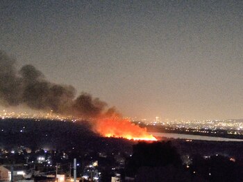Un incendio forestal afectó a