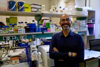 El estudio fue liderado por