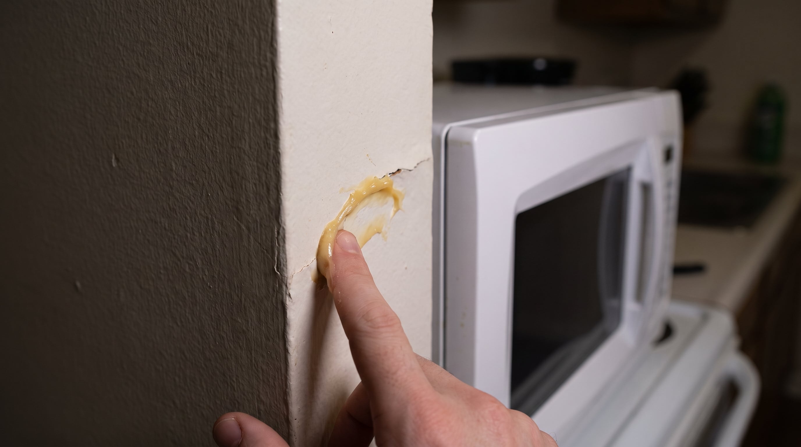 Sellar grietas, reparar fugas y colocar burletes en puertas y ventanas ayuda a reducir el ingreso y el refugio de cucarachas (Imagen Ilustrativa Infobae)