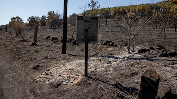 Así se protege Madrid de los incendios: estas son las actividades prohibidas durante todo el verano
