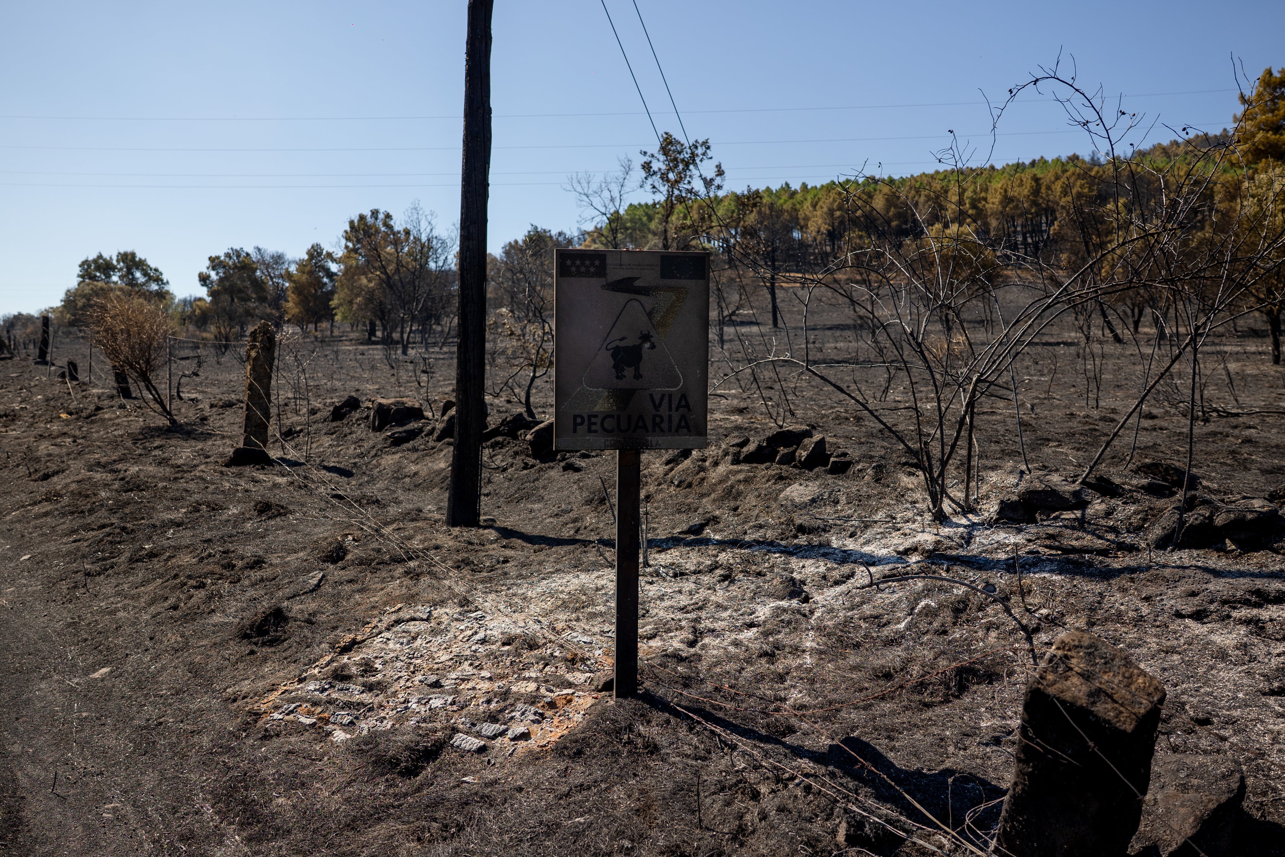 Así se protege Madrid de los incendios: estas son las actividades prohibidas durante todo el verano