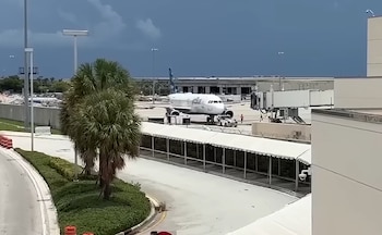 Un avión de JetBlue estacionado en la pista de un aeropuerto junto a un puente de embarque y un edificio, con palmeras en primer plano bajo un cielo oscuro