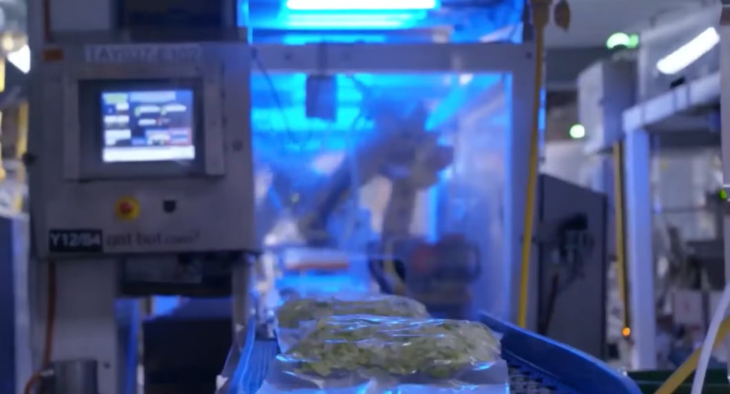 Las compañías alimentarias y restaurantes activaron protocolos de seguridad y colaboran con el monitoreo epidemiológico para evitar nuevos focos (CBS Mornings/Taylor Farms)
