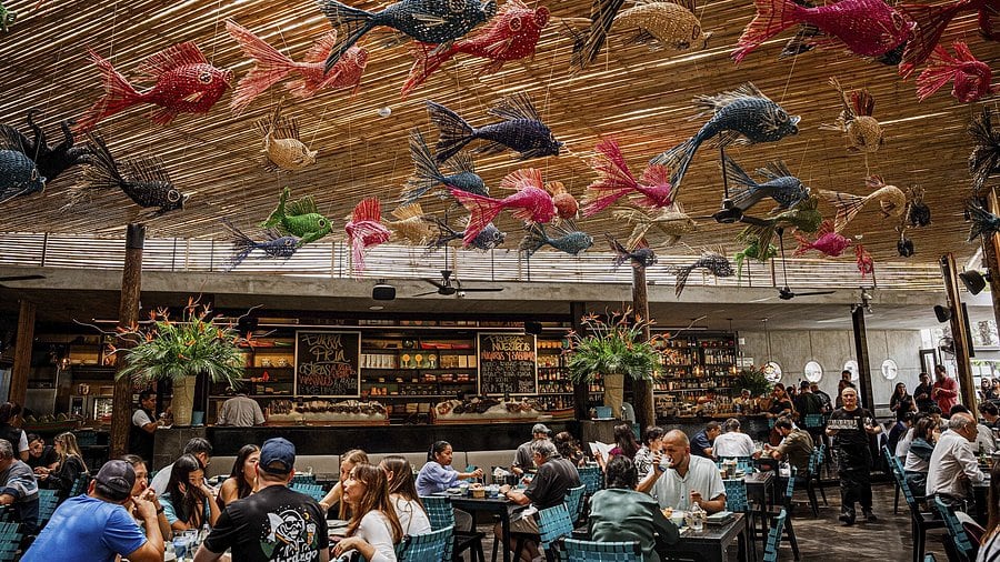 El restaurante La Mar se posicionó en la cima de la categoría dedicada a cevicherías y establecimientos de pescados de los Premios Summum 2026. Foto: TripAdvisor