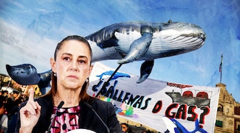 Retrato de Claudia Sheinbaum hablando en un podio y apuntando hacia arriba. Detrás, una ballena inflable y una pancarta con "¿Ballenas o Gas?". Efecto acuarela.