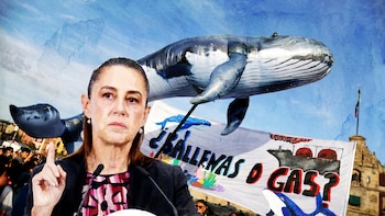 Proyecto de Saguaro fue aprobado por AMLO: Sheinbaum se deslinda, pero promete segunda revisión de riesgos ambientales