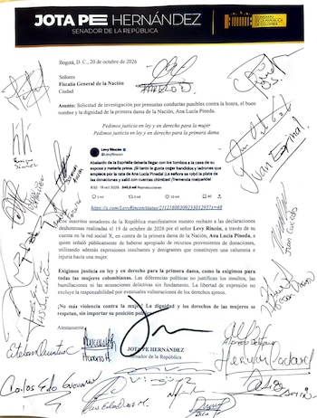 El legislador Jota Pe Hernández sostuvo que la iniciativa pretende cuestionar los ataques dirigidos a las mujeres - crédito @JotaPeHernandez/X