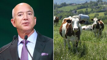 La fundación de Jeff Bezos