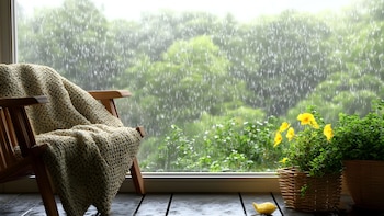 ¿Te gusta el sonido de