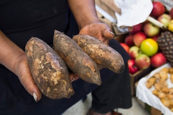 Las carnes, aves crudas, huevos crudos, leche sin pasteurizar, mariscos crudos, frutas y verduras son alimentos con más probabilidad de estar contaminados (Foto: EFE/EDUARDO CAVERO)