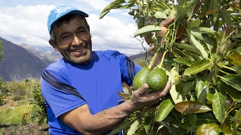 Perú abre 19 nuevos mercados para productos agropecuarios en solo cuatro meses del 2026