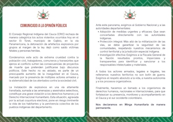 El Cric reiteró que los territorios indígenas no deben ser escenarios de guerra - crédito Cric