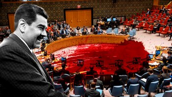 Por qué la ONU incluyó