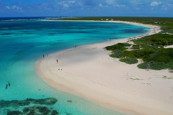 Vista aérea de Loblolly Beach con una amplia playa de arena blanca, agua turquesa, personas nadando y caminando, y exuberante vegetación verde