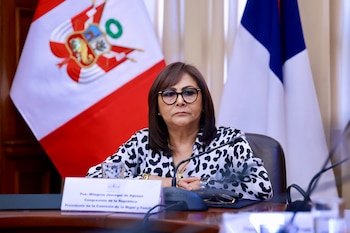 La congresista Milagros Jáuregui (Renovación