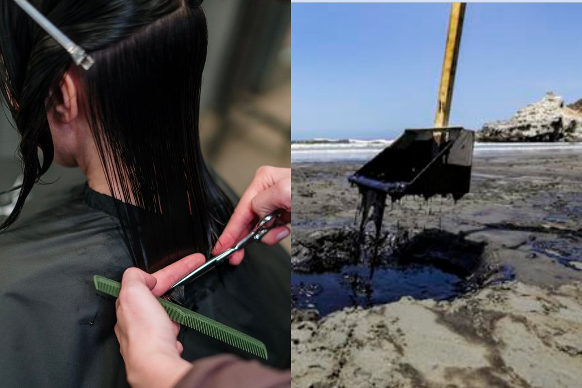 Foto: Pexels / Infobae