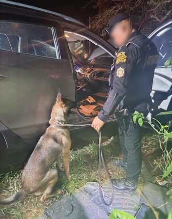 Marcadores forenses amarillos numerados del