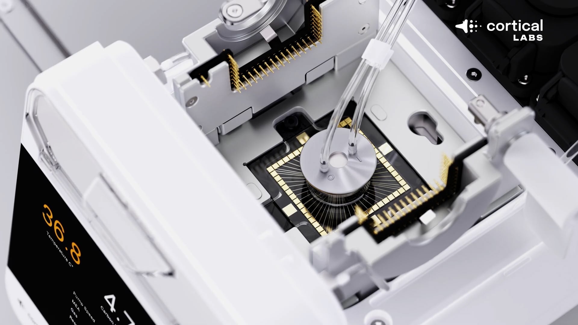 El sistema traduce el entorno digital en estímulos eléctricos comprensibles para las neuronas. (Captura/Cortical Labs)