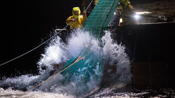 La pesca representa el 0,7%