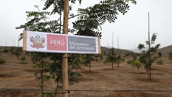 El Gobierno reduce y reasigna