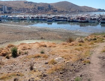 Expertos alertan que esta disminución