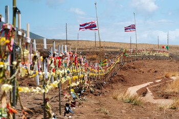 Una familia de Maui describe la noche trágica en que intentó escapar de un terrible incendio forestal