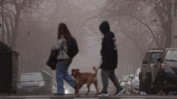 Niebla - Buenos Aires - Puente Saavedra - Núñez