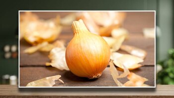 Cuáles son las propiedades curativas