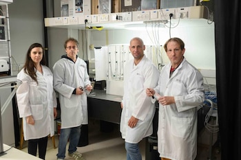 Científicos del Instituto Weizmann revelan cómo las hormigas tejedoras “piensan” en grupo (izq.): Michal Roitman, Prof. Ofer Feinerman, Gadi Trocki y Dr. Ehud Fonio (Instituto Weizmann)