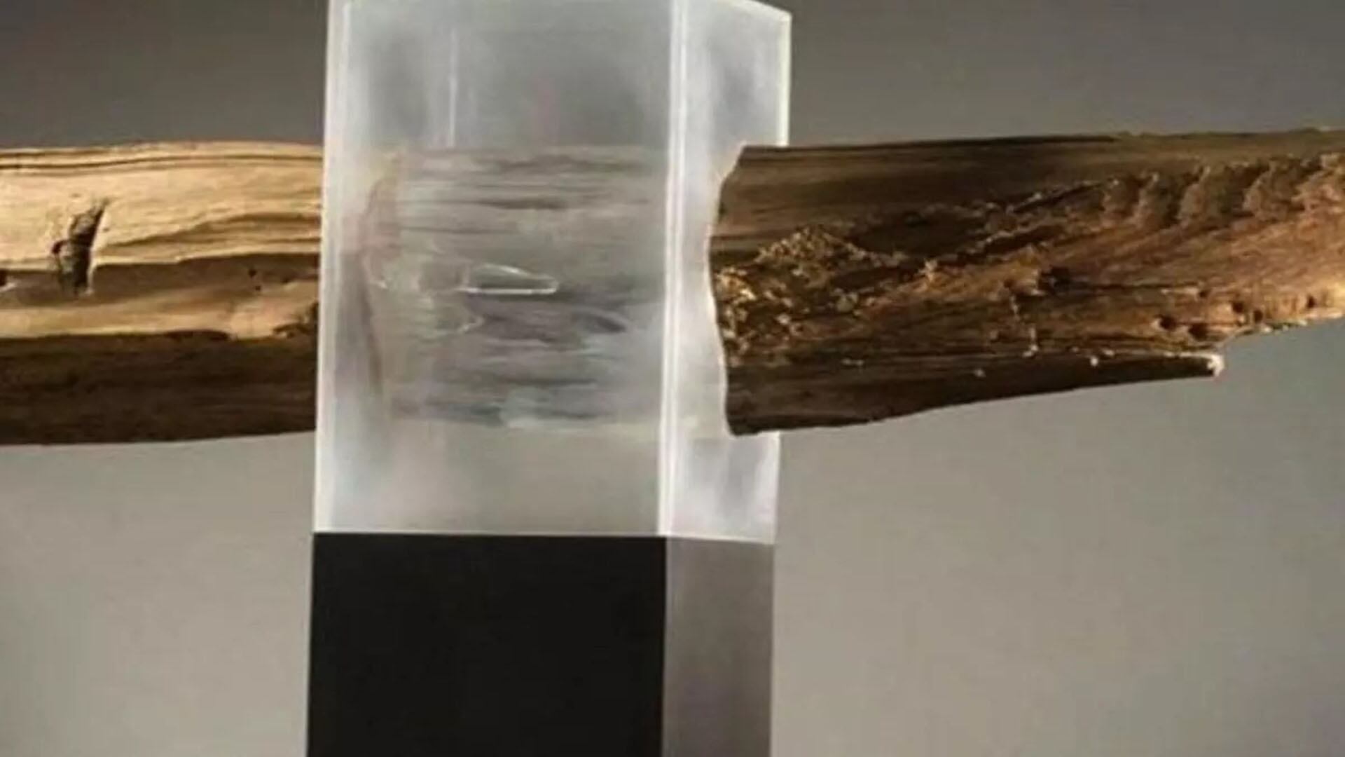 La madera transparente biodegradable, hecha con claras de huevo y arroz, busca reemplazar al vidrio y al plástico (America Chemical Society)
