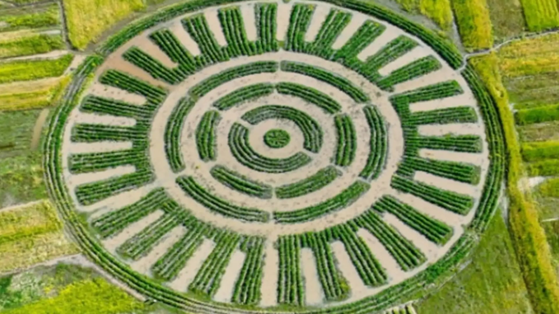 Permiten cultivar productos andinos como papa, quinua y cañihua en condiciones climáticas extremas.