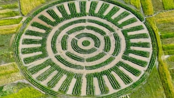 Sistema agrícola milenario bajo amenaza: enfrenta crisis por sequías, migración y pérdida de conocimiento tradicional