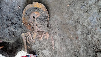 Un vecino de Boadilla (Madrid)