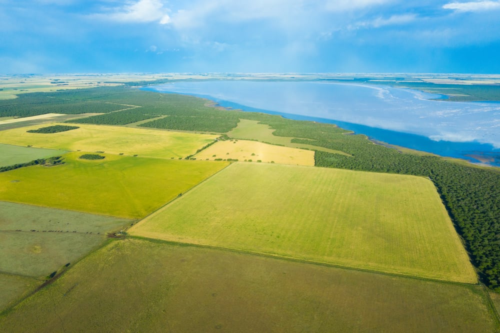 El mapa que explica la logística de las exportaciones agrícolas argentinas