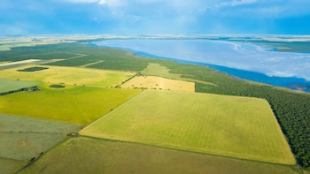 El mapa que explica la logística de las exportaciones agrícolas argentinas