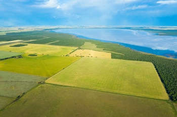 El informe confirma una ventaja logística estructural de la agroindustria argentina, ya que más de la mitad de la producción de los principales cultivos se concentra cerca de los tres nodos portuarios más importantes del país (Foto: Shutterstock)