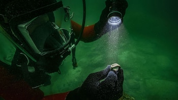 Hallan bajo el mar un anillo con la imagen del Faro de Alejandría, una de las siete maravillas del mundo antiguo