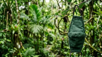 covid istmo -México- 31 marzo