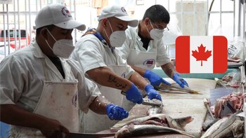 El puesto se necesita tener