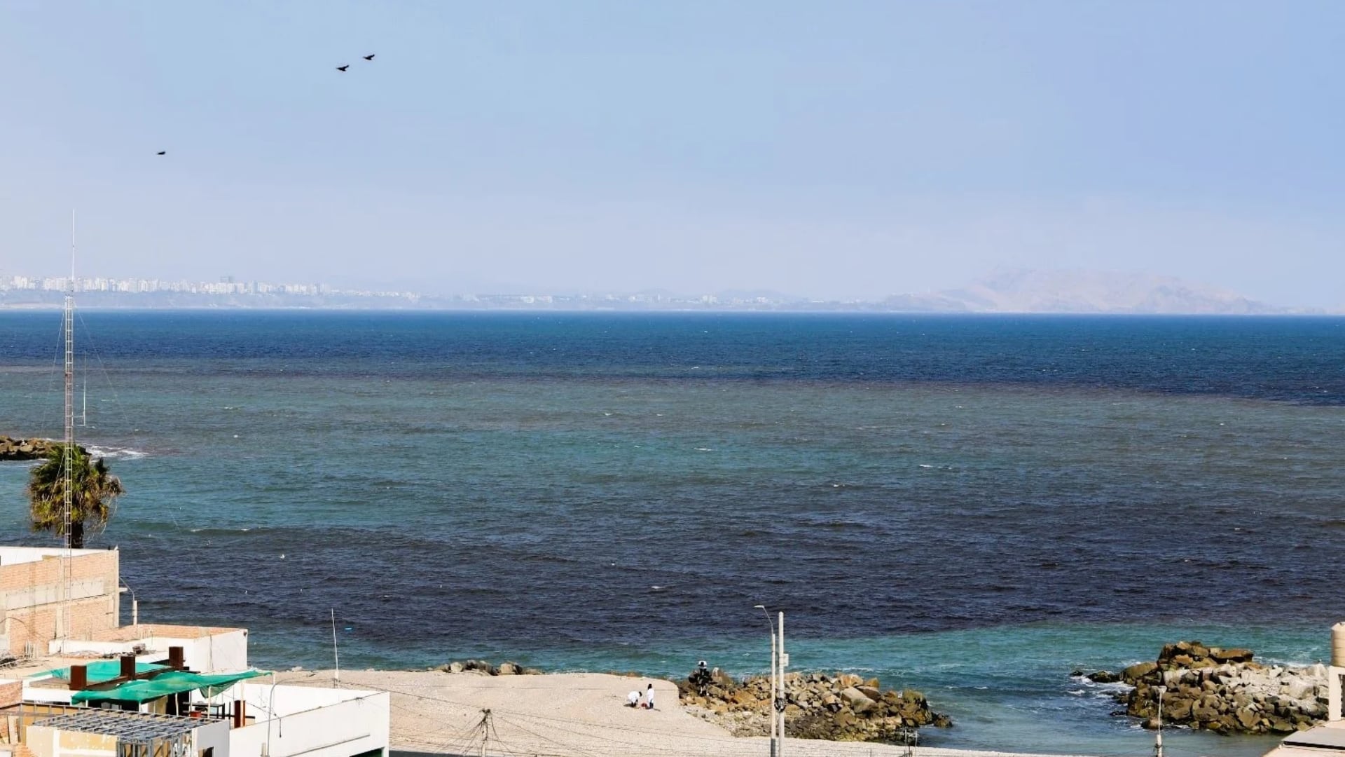 Detectan floración de microalga nociva frente al Callao: IMARPE monitorea su desplazamiento desde la bahía de Miraflores y sigue su evolución