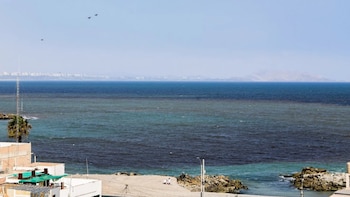 Detectan floración de microalga nociva frente al Callao: IMARPE monitorea su desplazamiento desde la bahía de Miraflores y sigue su evolución