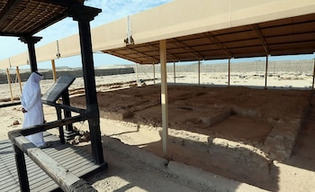 La isla Sir Bani Yas,