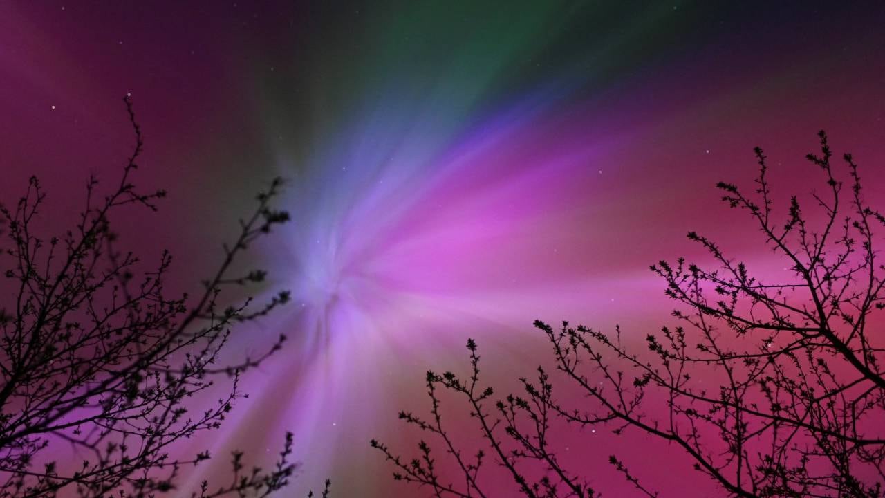 La oportunidad de contemplar auroras boreales intensas en Estados Unidos durante marzo de 2026 podría no repetirse hasta la segunda mitad de la década de 2030. (Reuters)