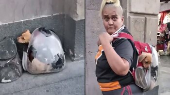 Piden ayuda a las autoridades