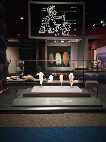 Vitrina de museo con cuatro cuchillos de piedra y objetos ovalados. Arriba, un diagrama iluminado representa un rito ceremonial con dos figuras