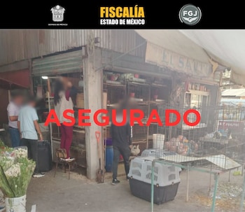 Foto: Fiscalía General de Justicia