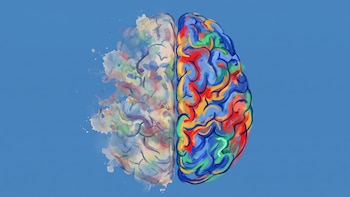 El cambio cotidiano que puede anticipar un deterioro cognitivo leve, según un nuevo estudio
