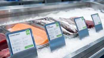 Vista de un mostrador de pescado en un supermercado, con lomos de salmón, pescado entero y filetes de atún dispuestos sobre hielo picado, con etiquetas borrosas.