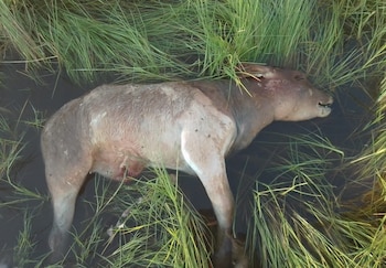 Inundaciones Santa Fe