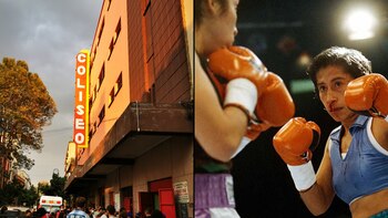 Las funciones de box regresan